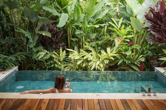 Private plunge pool surrounded by jungle